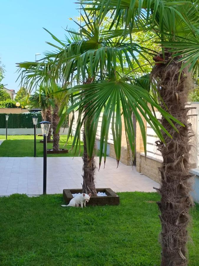 Residence Deamarina Marina di Massa Εξωτερικό φωτογραφία